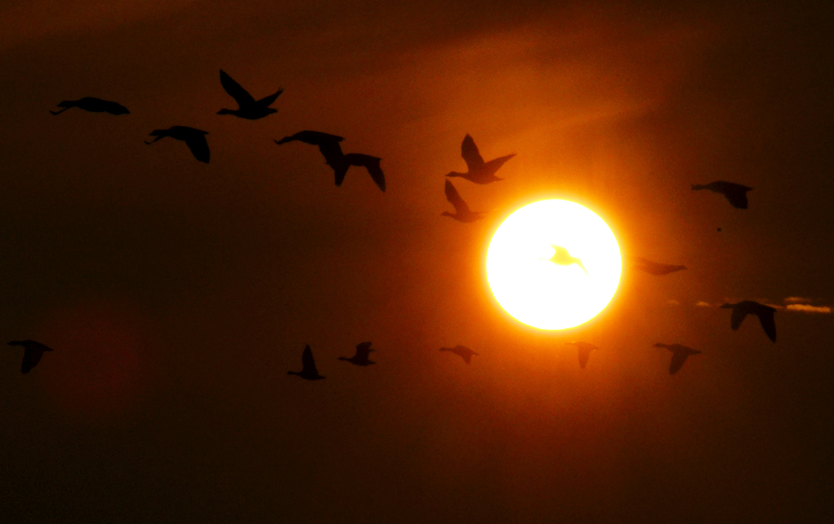 Flug durch den Sonnenuntergang