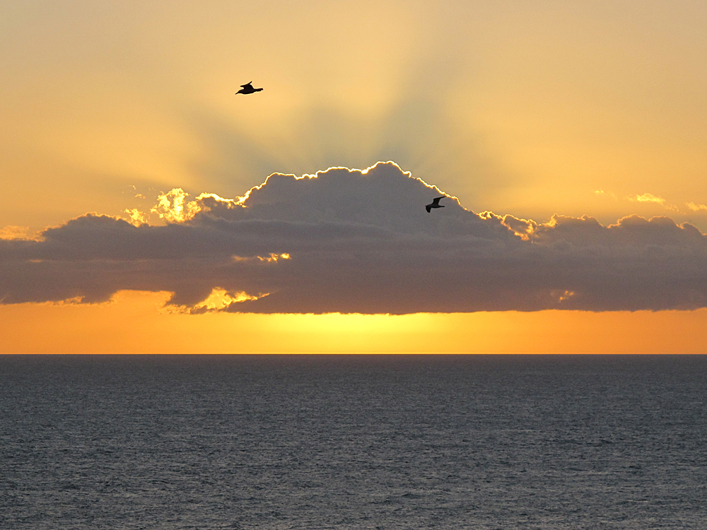 Flug durch den Sonnenuntergang / Volo al tramonto