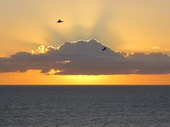 Flug durch den Sonnenuntergang / Volo al tramonto