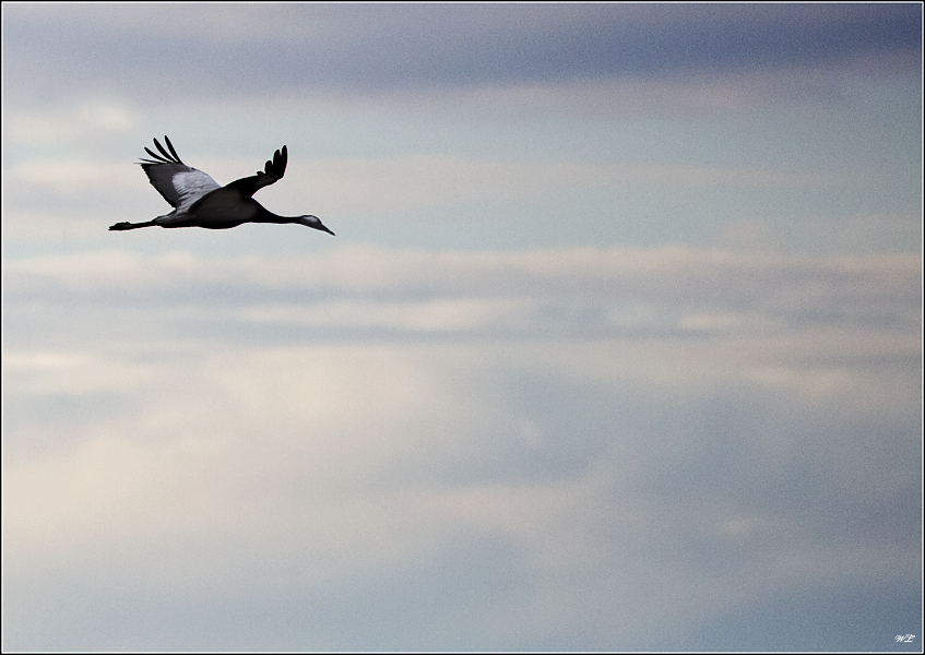 Flug durch die Wolken