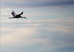 Flug durch die Wolken