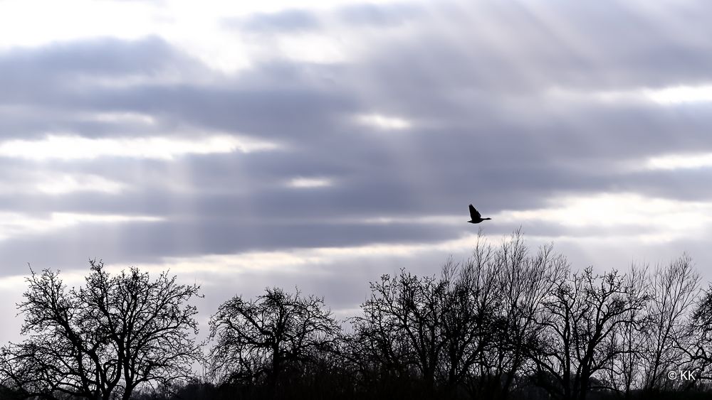 Flug durch Sonnenstrahlen