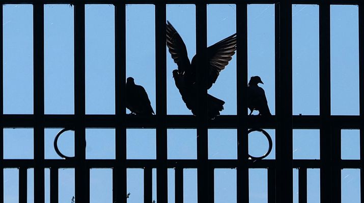 Flug für den Frieden