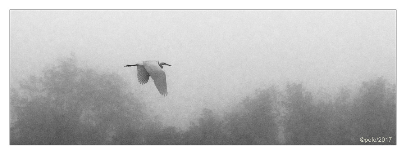 Flug im Nebel