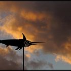 Flug im stürmischen Wolkenmeer / Volo nel burrascoso mare di nubi (2)