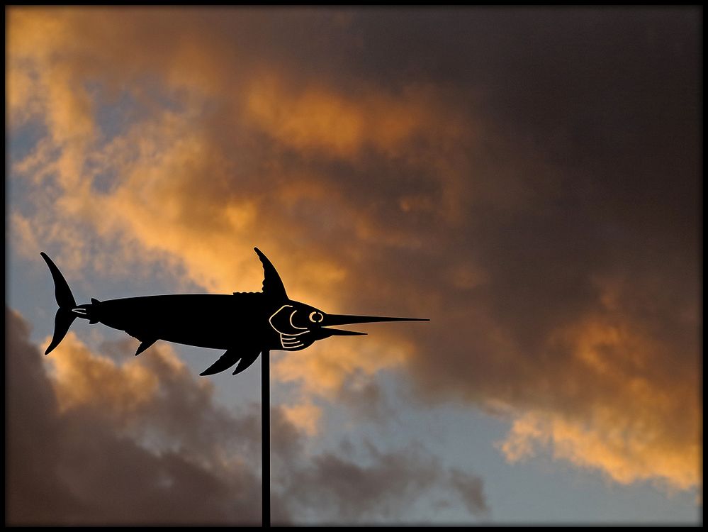 Flug im stürmischen Wolkenmeer / Volo nel burrascoso mare di nubi (2)