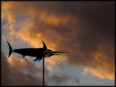 Flug im stürmischen Wolkenmeer / Volo nel burrascoso mare di nubi (2)