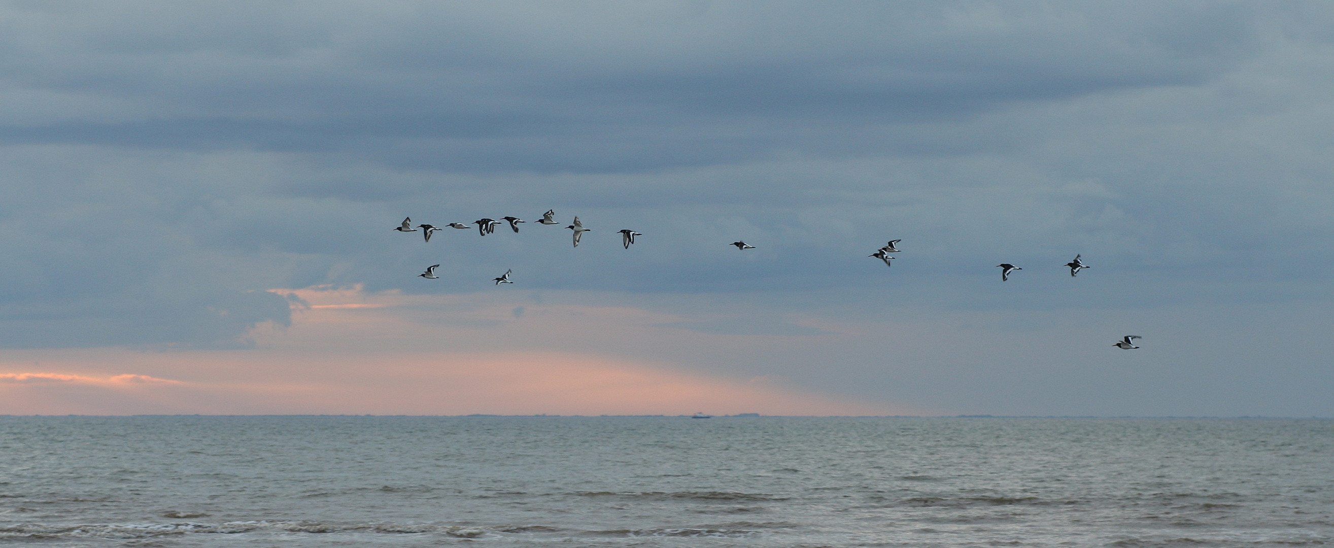 Flug in den Abend