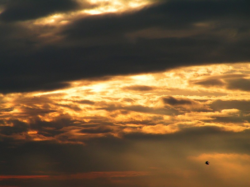 Flug in den Abendhimmel