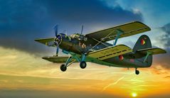 Flug in den Abendhimmel