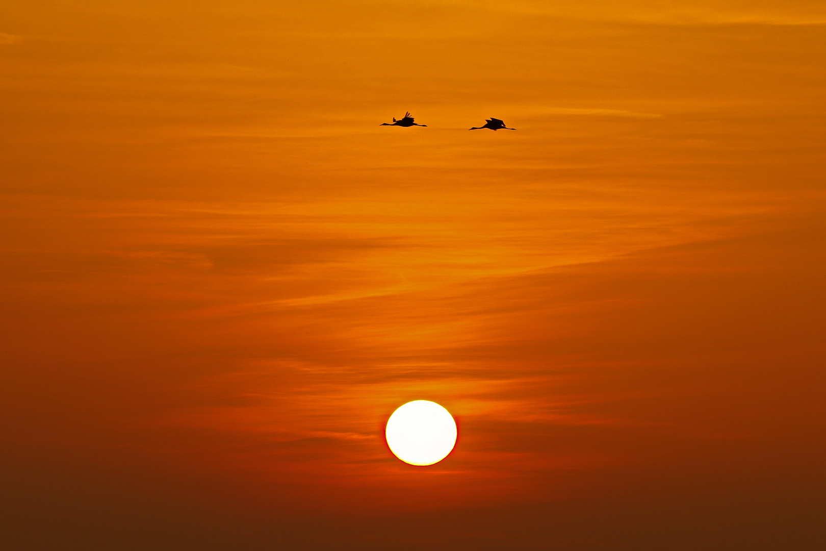 Flug in den Abenrot