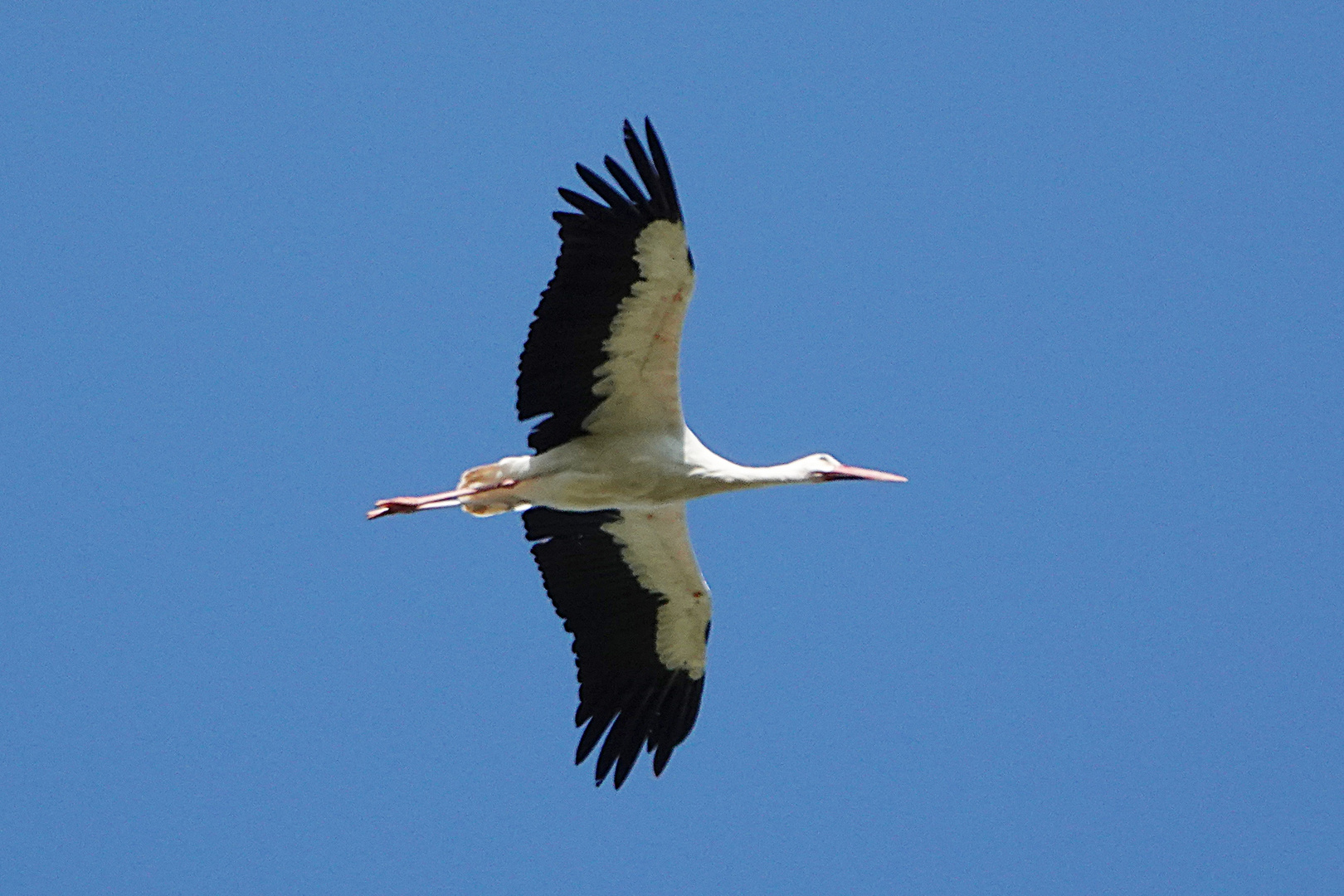 Flug in den blauen Montag