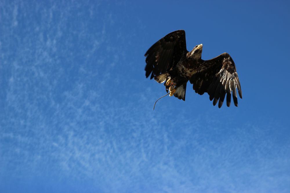 Flug in den ersten schönen Sommertag...