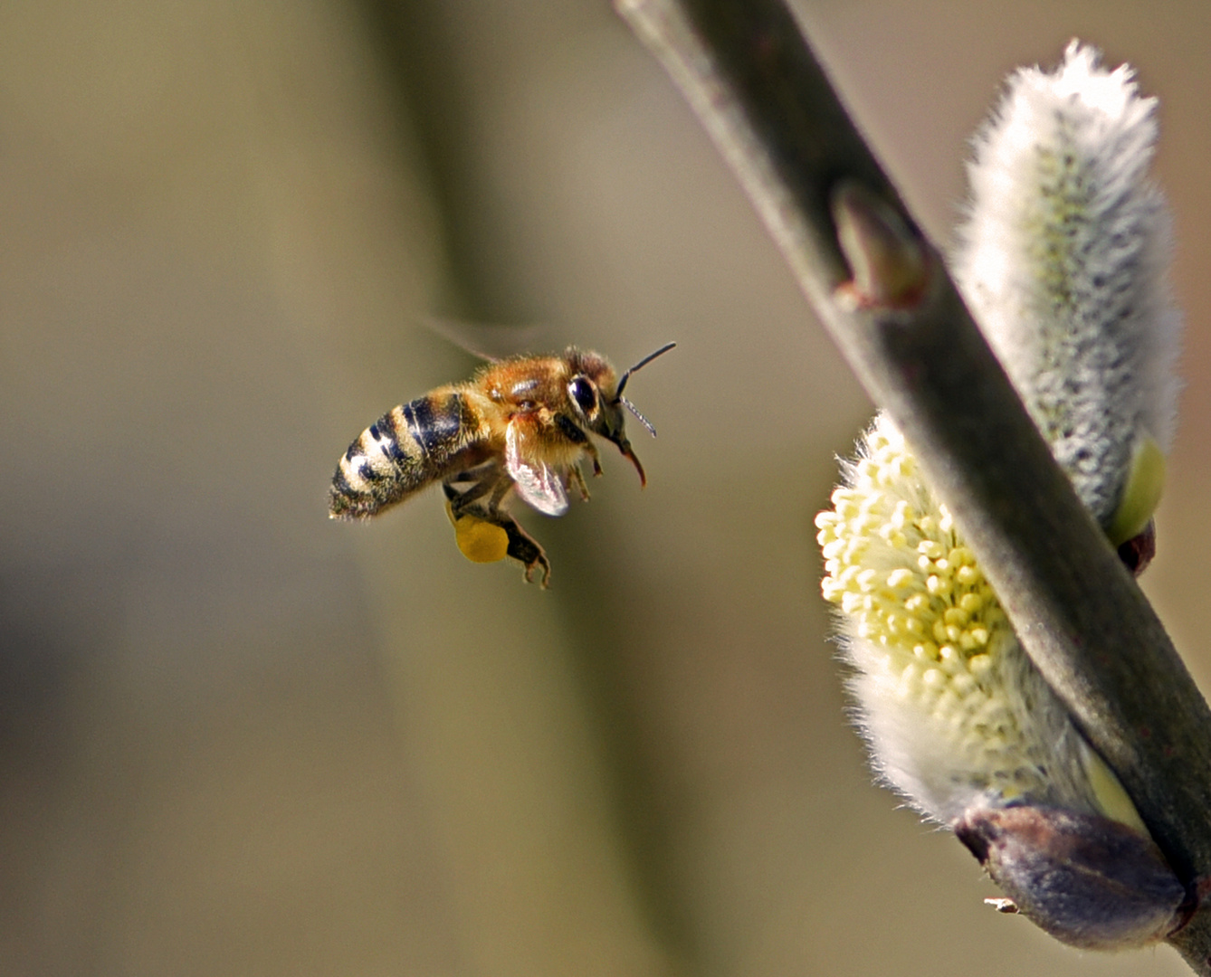 Flug in den ......