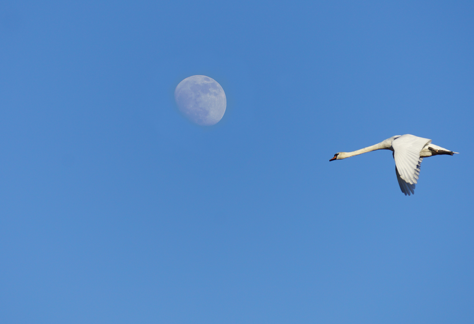 Flug in den Frühling