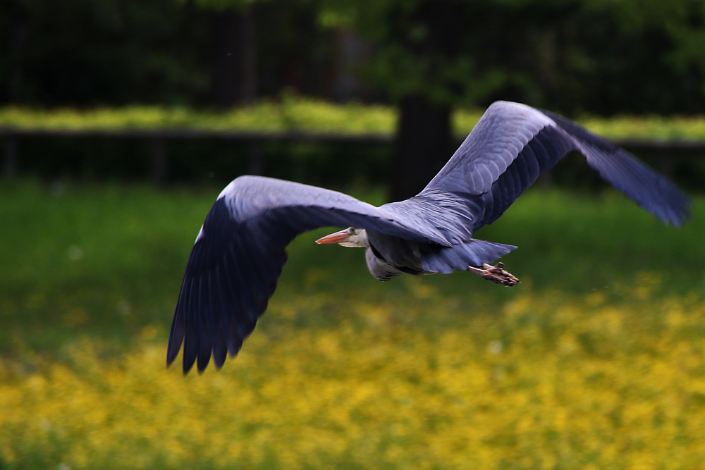 Flug in den Mai