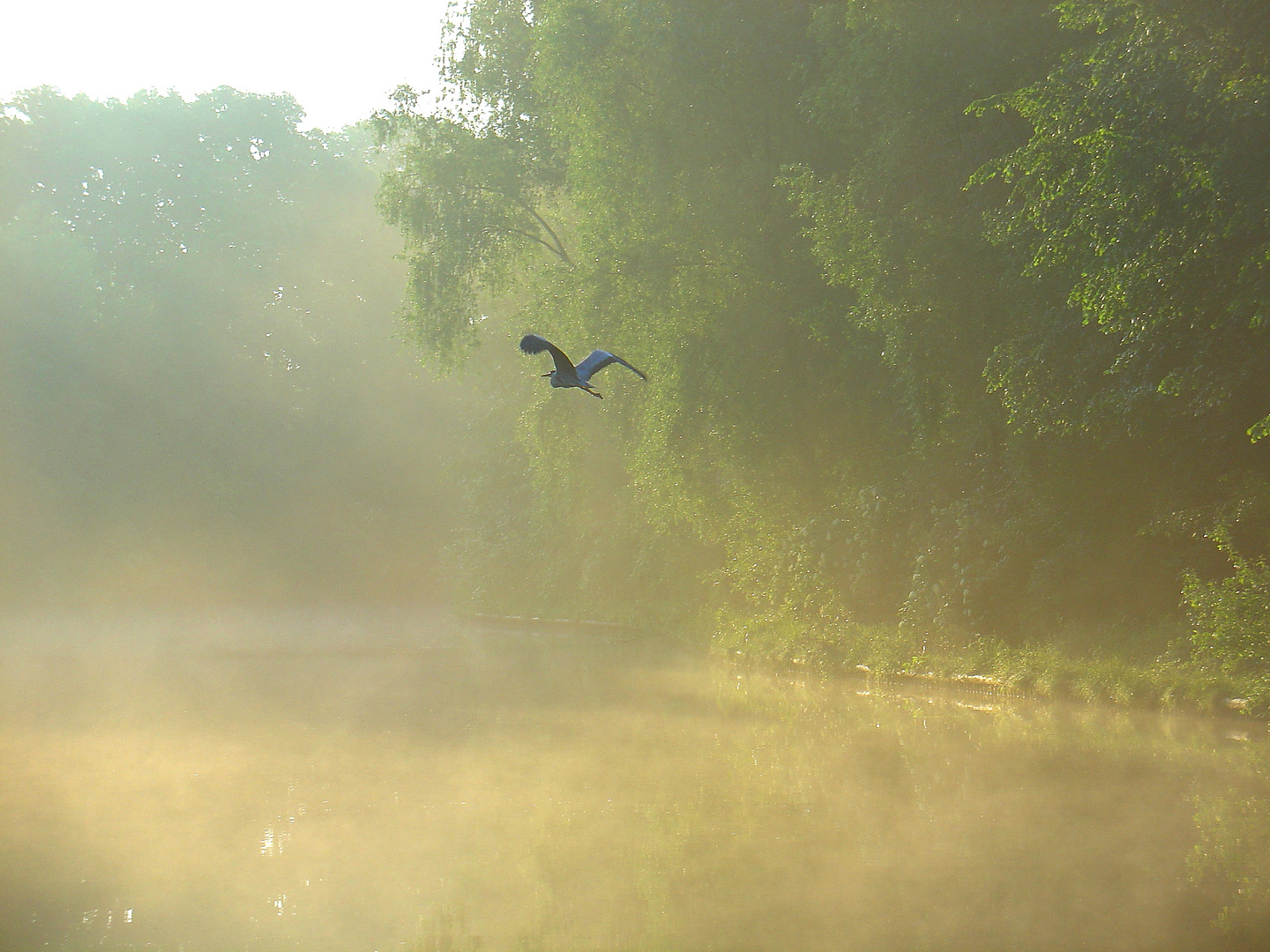 Flug in den Morgen