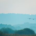 Flug in den Morgen