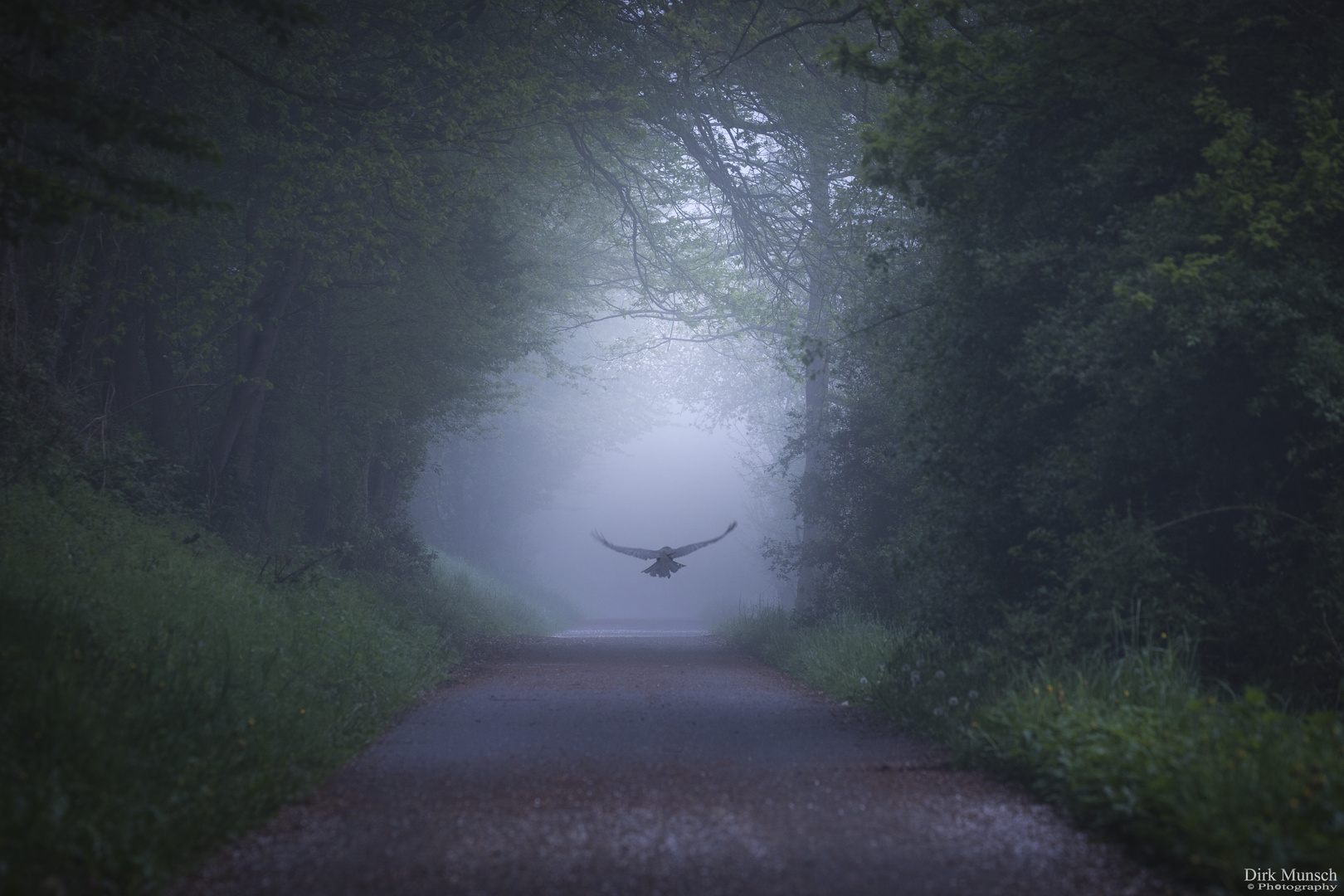 Flug in den Nebel