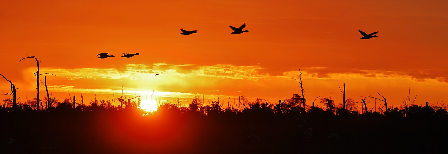 Flug in den Sonnenaufgang