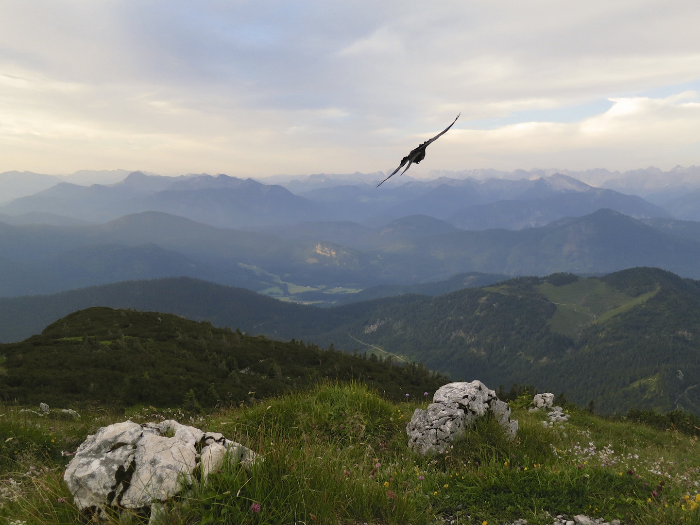 Flug in den Sonnenaufgang