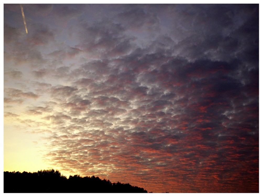 Flug in den Sonnenuntergang