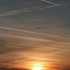 Flug in den Sonnenuntergang