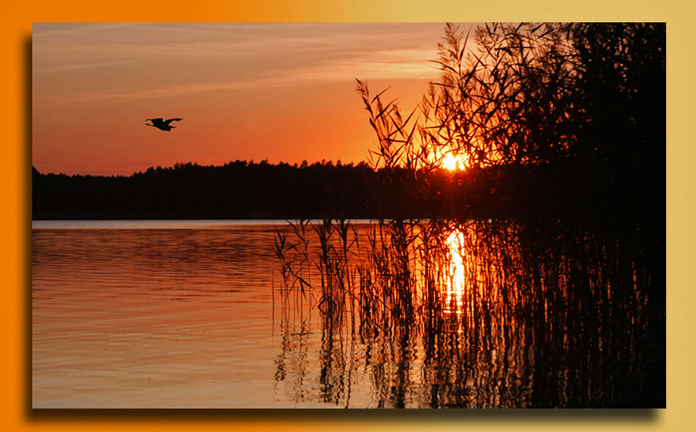 Flug in den Sonnenuntergang