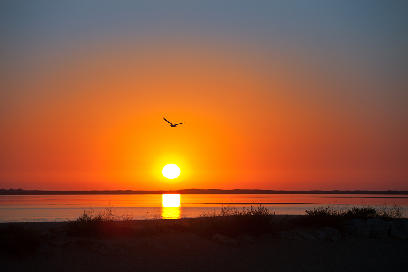 Flug in den Sonnenuntergang