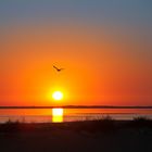 Flug in den Sonnenuntergang