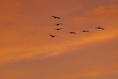 Flug in den Sonnenuntergang