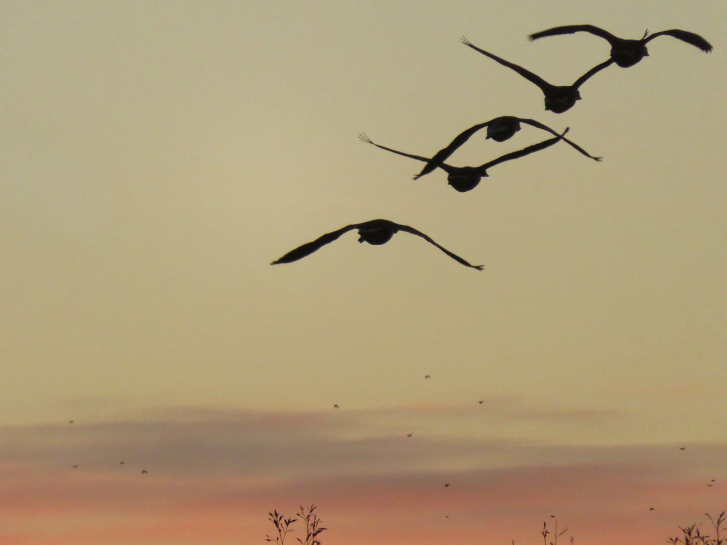 Flug in den Sonnenuntergang ...