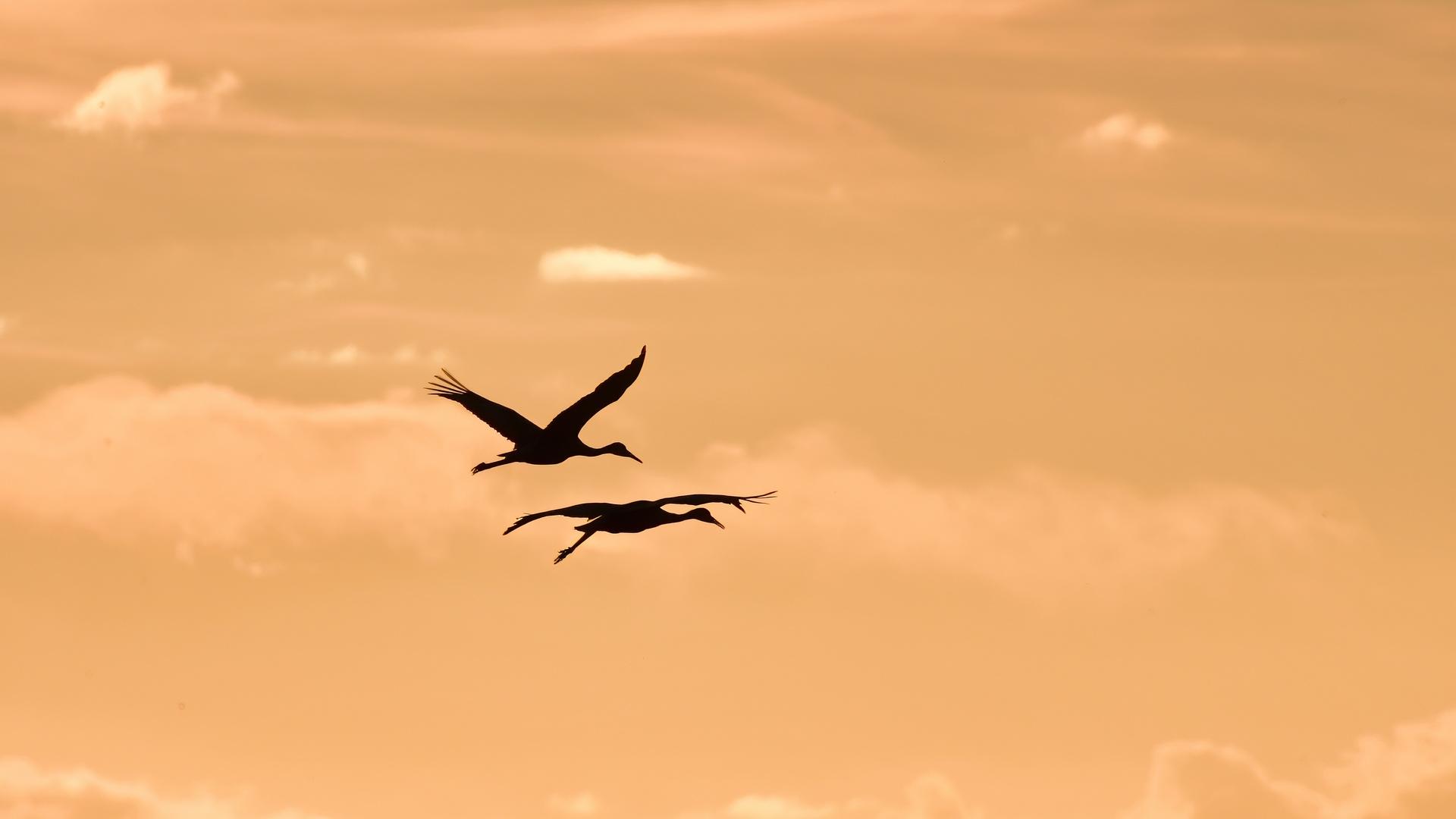 Flug in den Sonnenuntergang