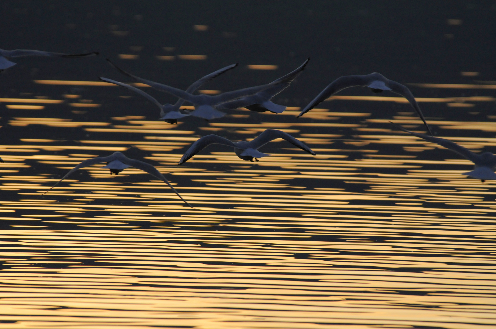 Flug in den Sonnenuntergang