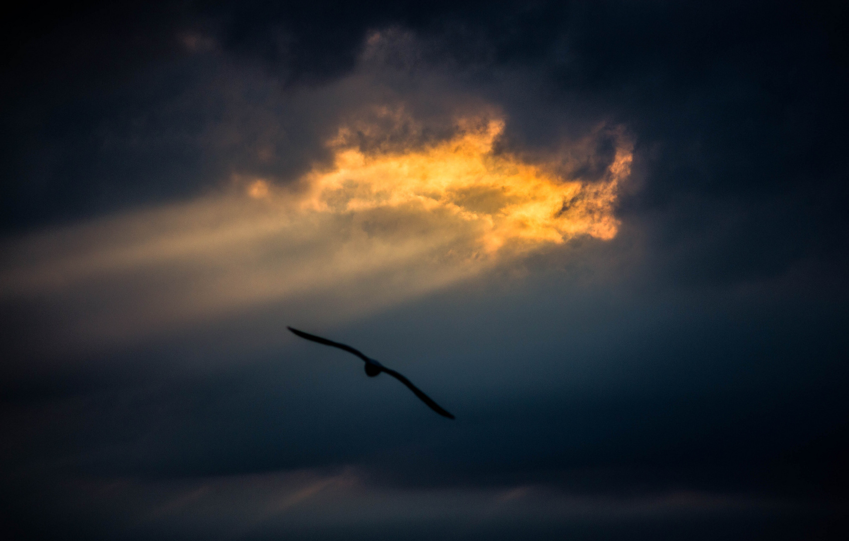 Flug in den Sonnenuntergang