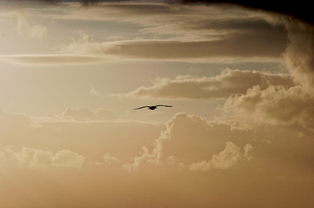 Flug in den Sonnenuntergang