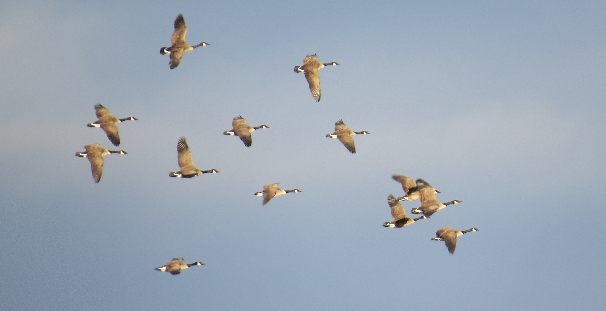 Flug in den Süden