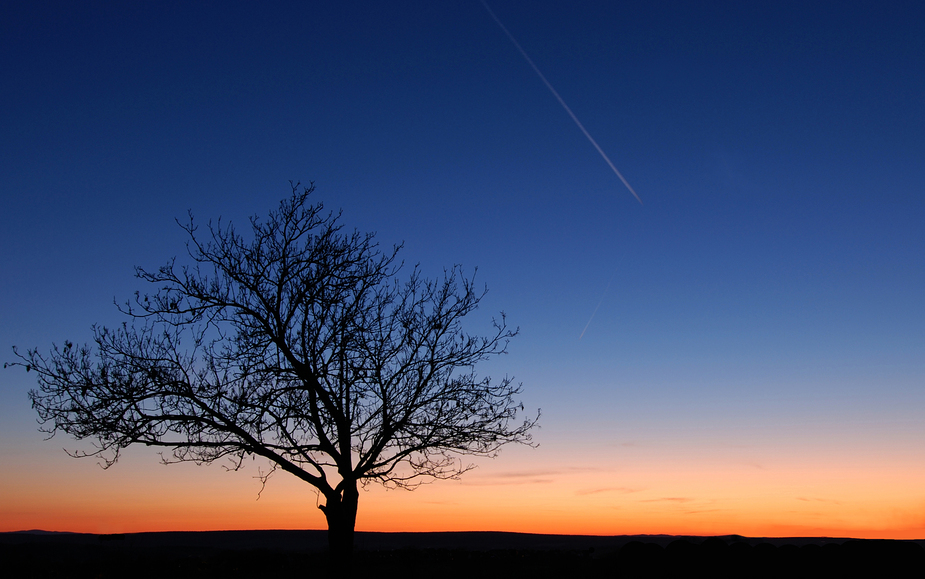 Flug in der Abendsonne