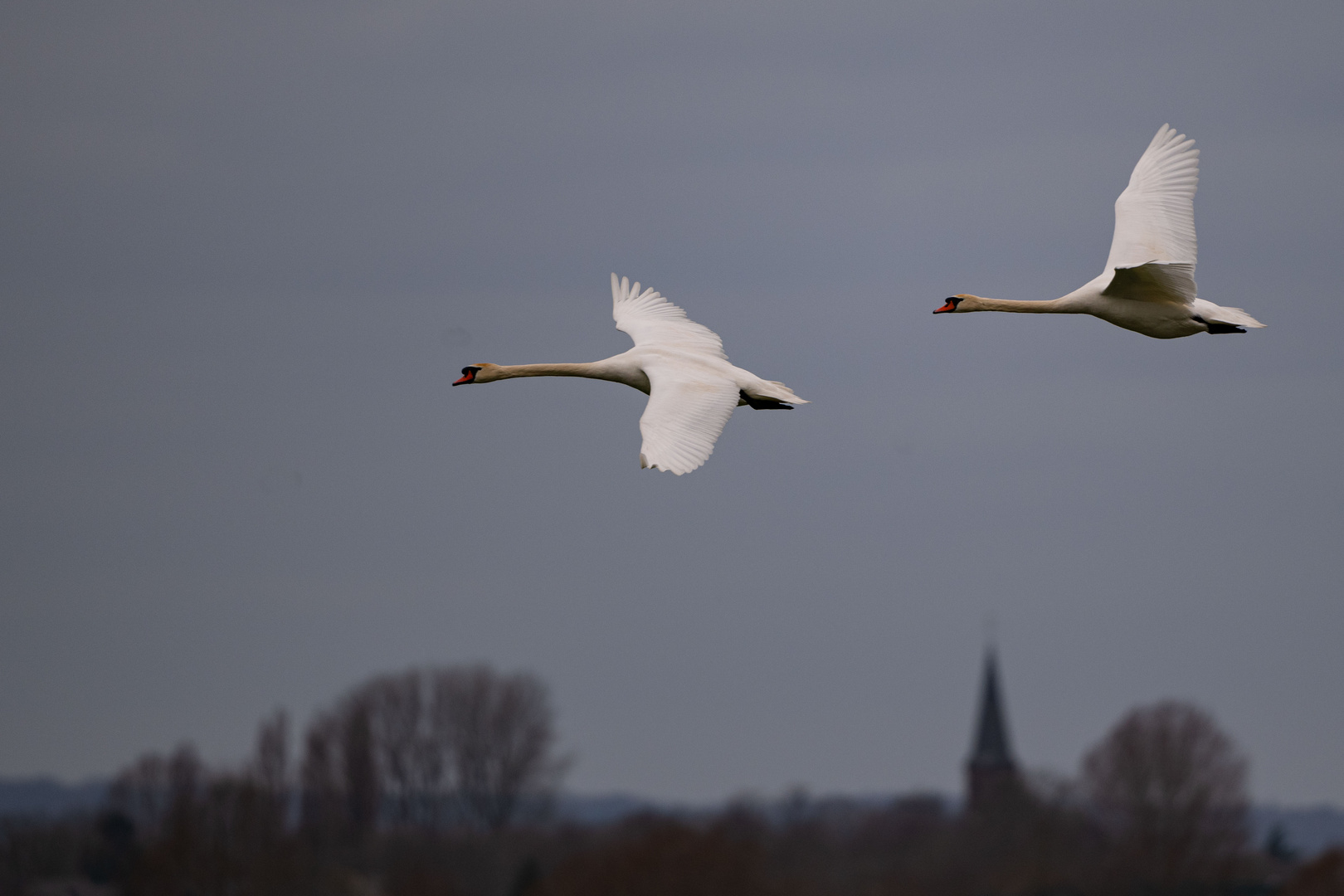 Flug in der Dämmerung