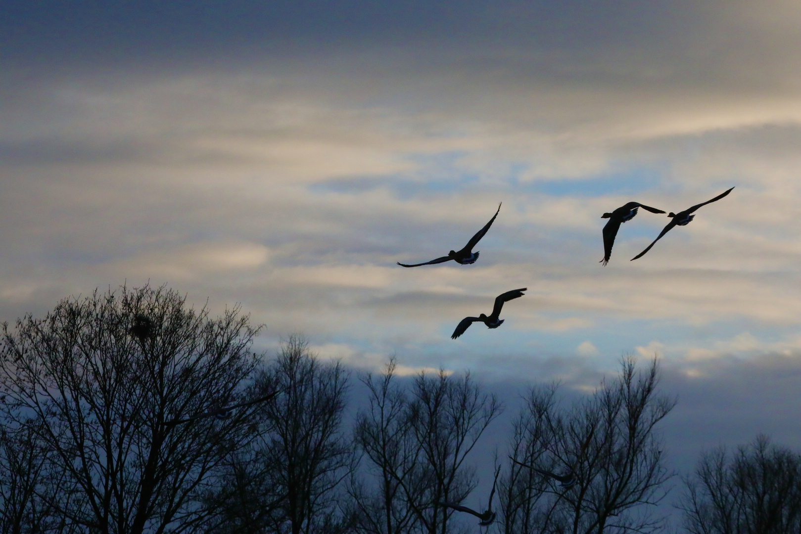 Flug in der Dämmerung