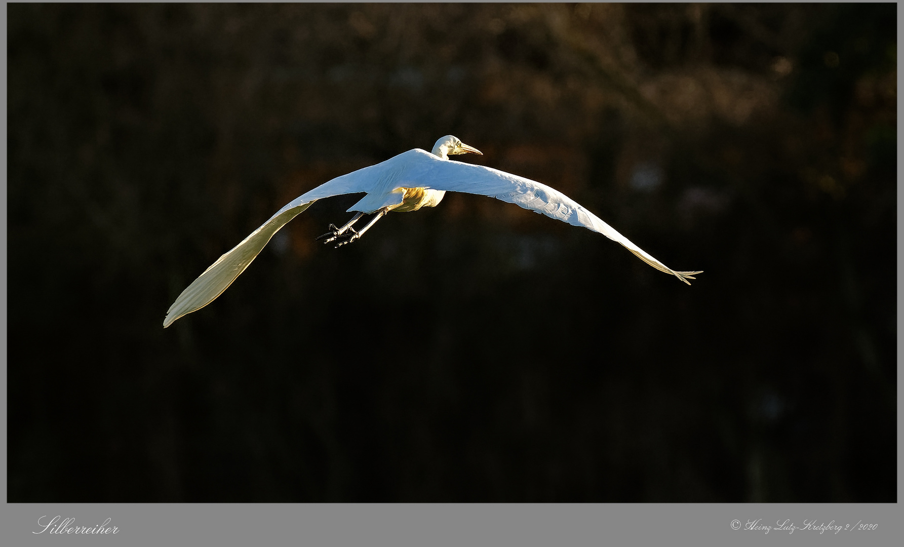 Flug in die Abendsonne 