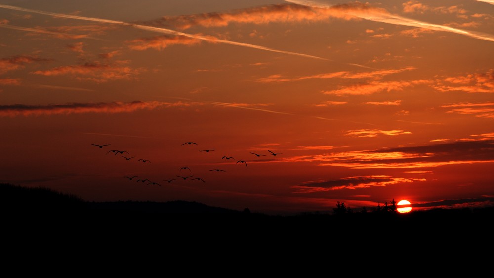 Flug in die Morgensonne