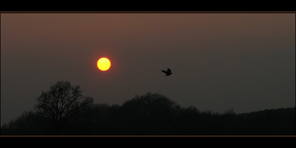 Flug in die Nacht