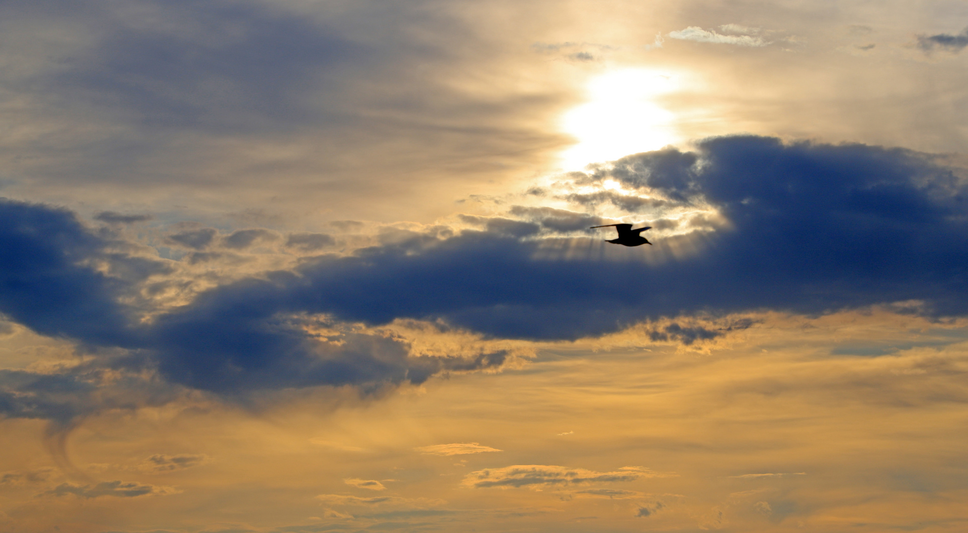 Flug in die Sonnenstrahlen