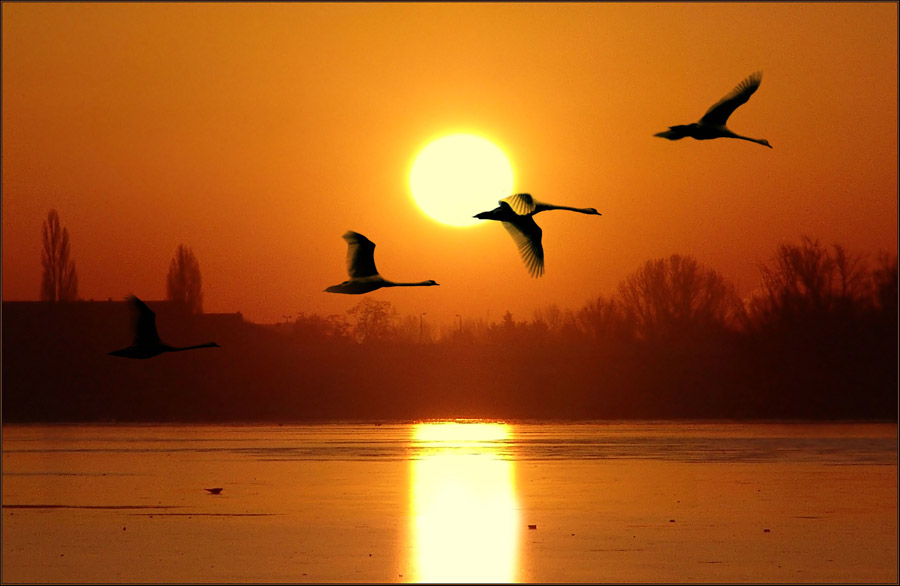 Flug in die Wärme