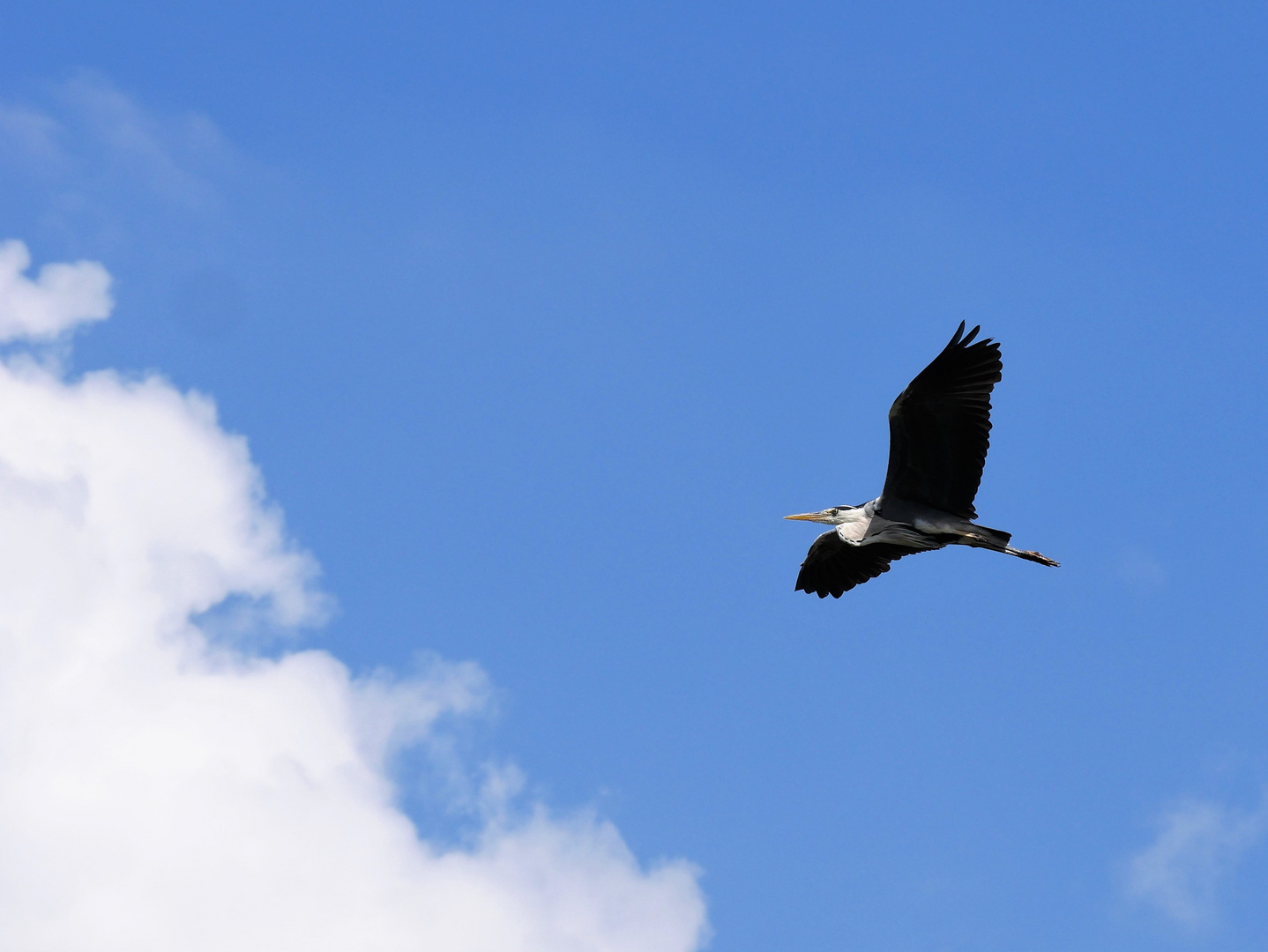 Flug in die Wolken