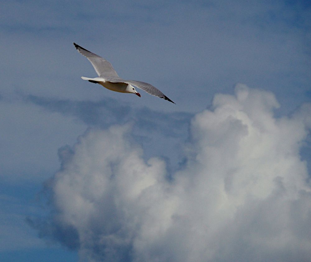 Flug in die Wolken