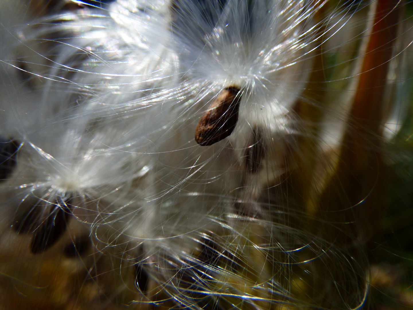 Flug in ein neues Leben