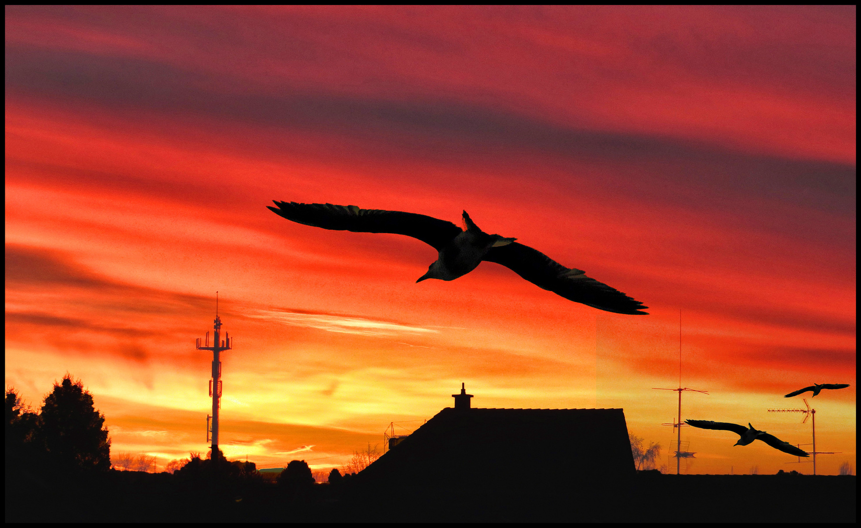 FLUG IN EINEN NEUEN TAG......