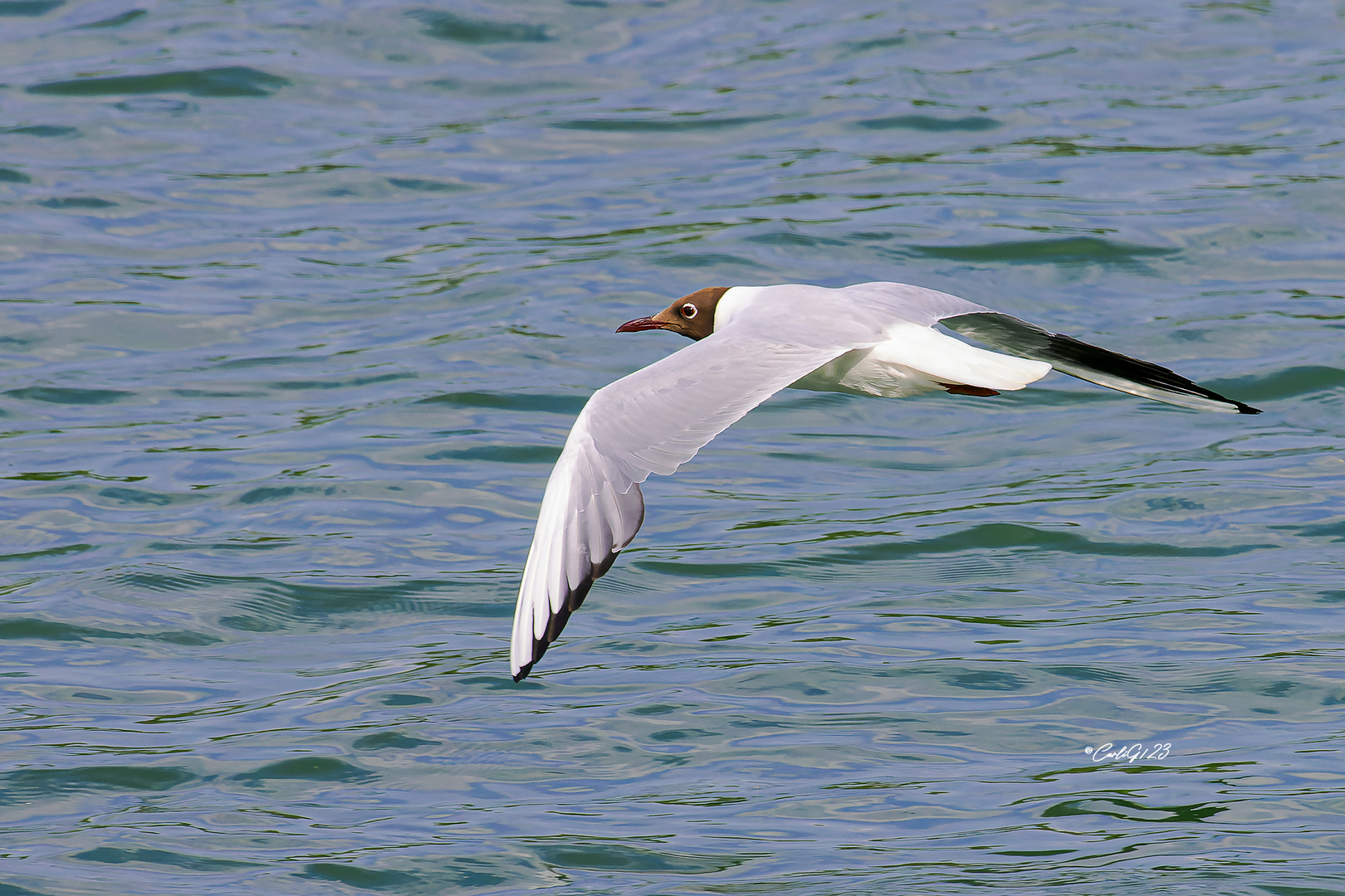 Flug in einen neuen Tag